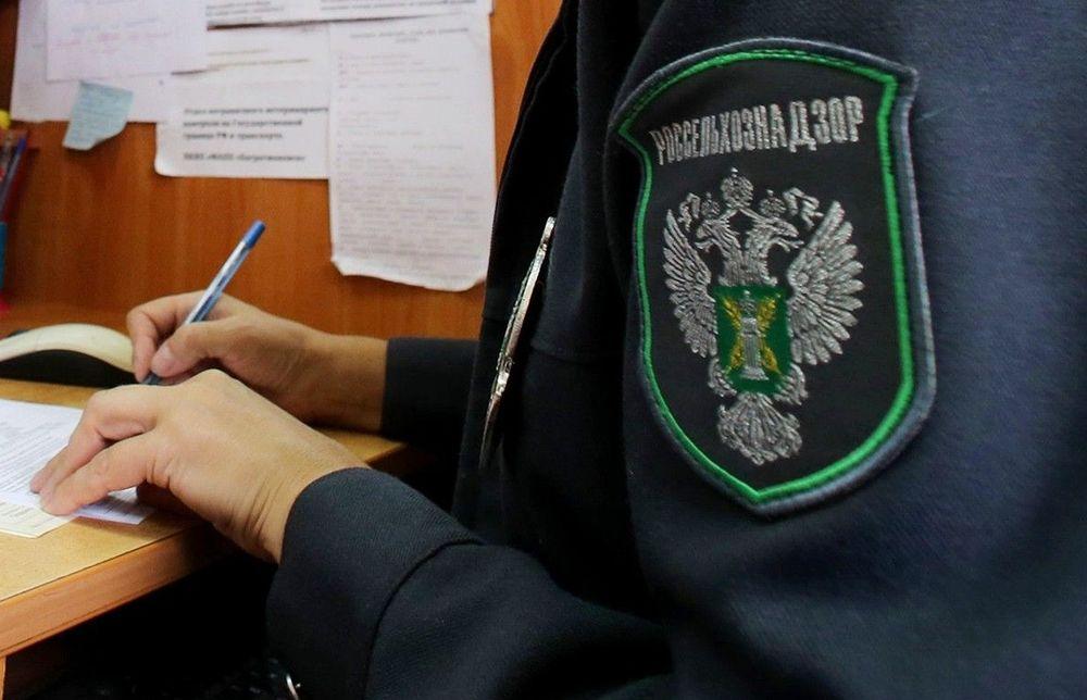 Правообладателям заросших земельных участков выданы предписания