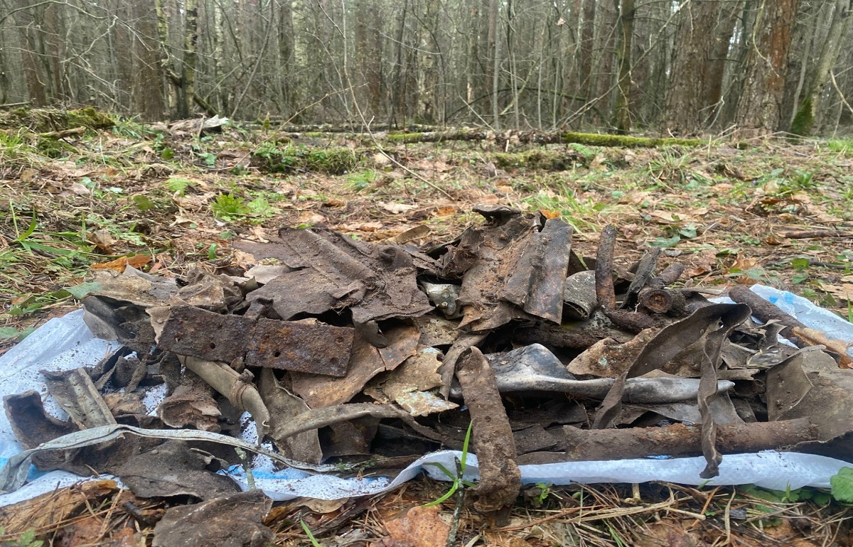 Под Тверью нашли обломки дальнего бомбардировщика Фото: Поисковый отряд "Витязь"
