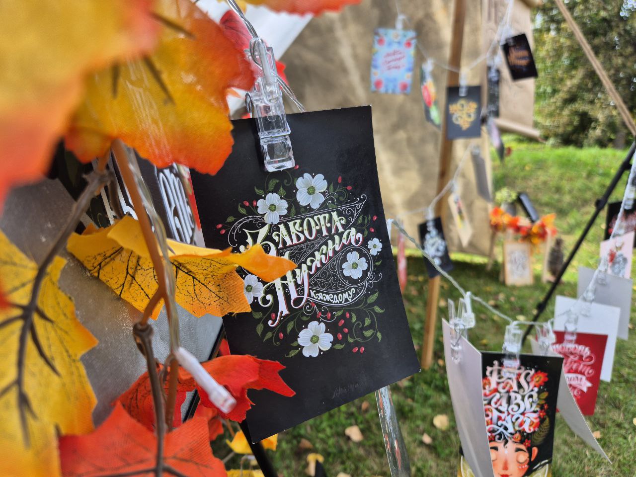 Симеон-летопроводец. Погода в Твери сегодня соответствует началу «бабьего лета» Фото: Дмитрий Крылов, публикуется с разрешения автора