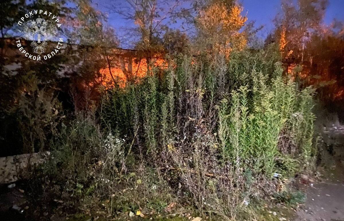 В Твери на Коминтерна нашли тело 14-летнего подростка - новости Афанасий