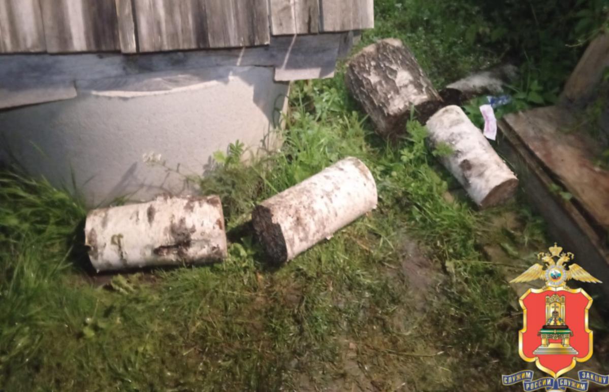 Ранее судимый житель Тверской области избил подругу поленом и собирался поджечь - новости Афанасий