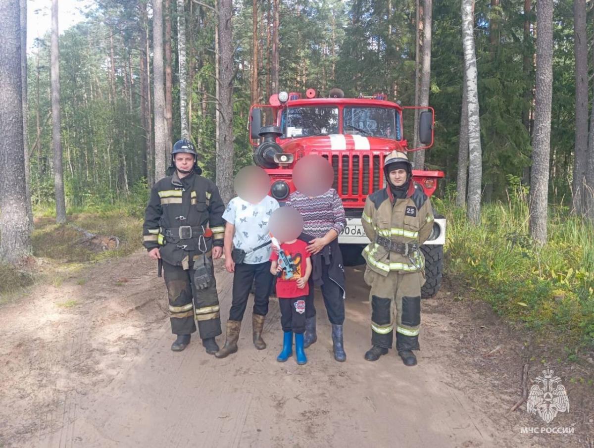 В лесах Тверской области за сутки потерялись девять грибников Фото: МЧС Тверской области В лесах Тверской области за сутки потерялись девять грибников Фото: МЧС Тверской области