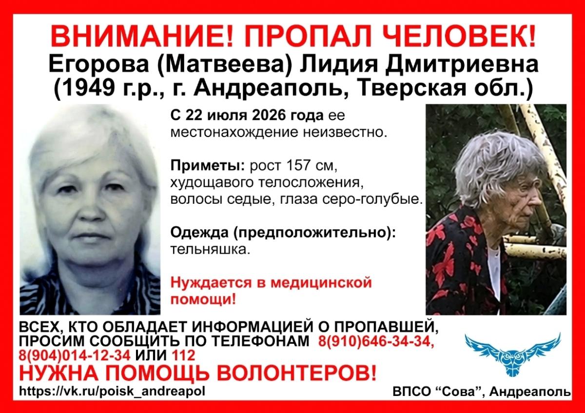 В Андреаполе пропала пенсионерка, которой требуется медицинская помощь Фото: ВПСО "Сова"
