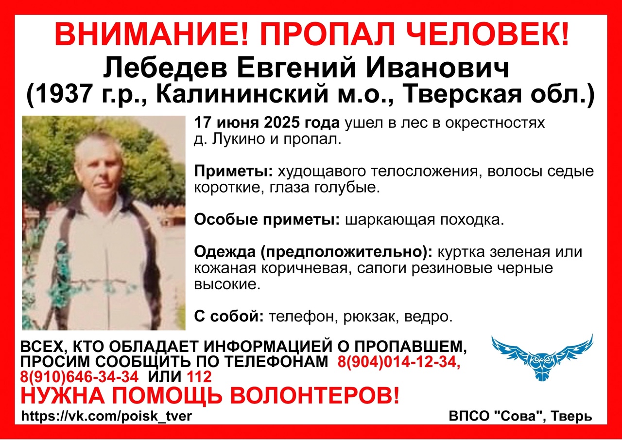 В лесах Калининского района пропал пенсионер