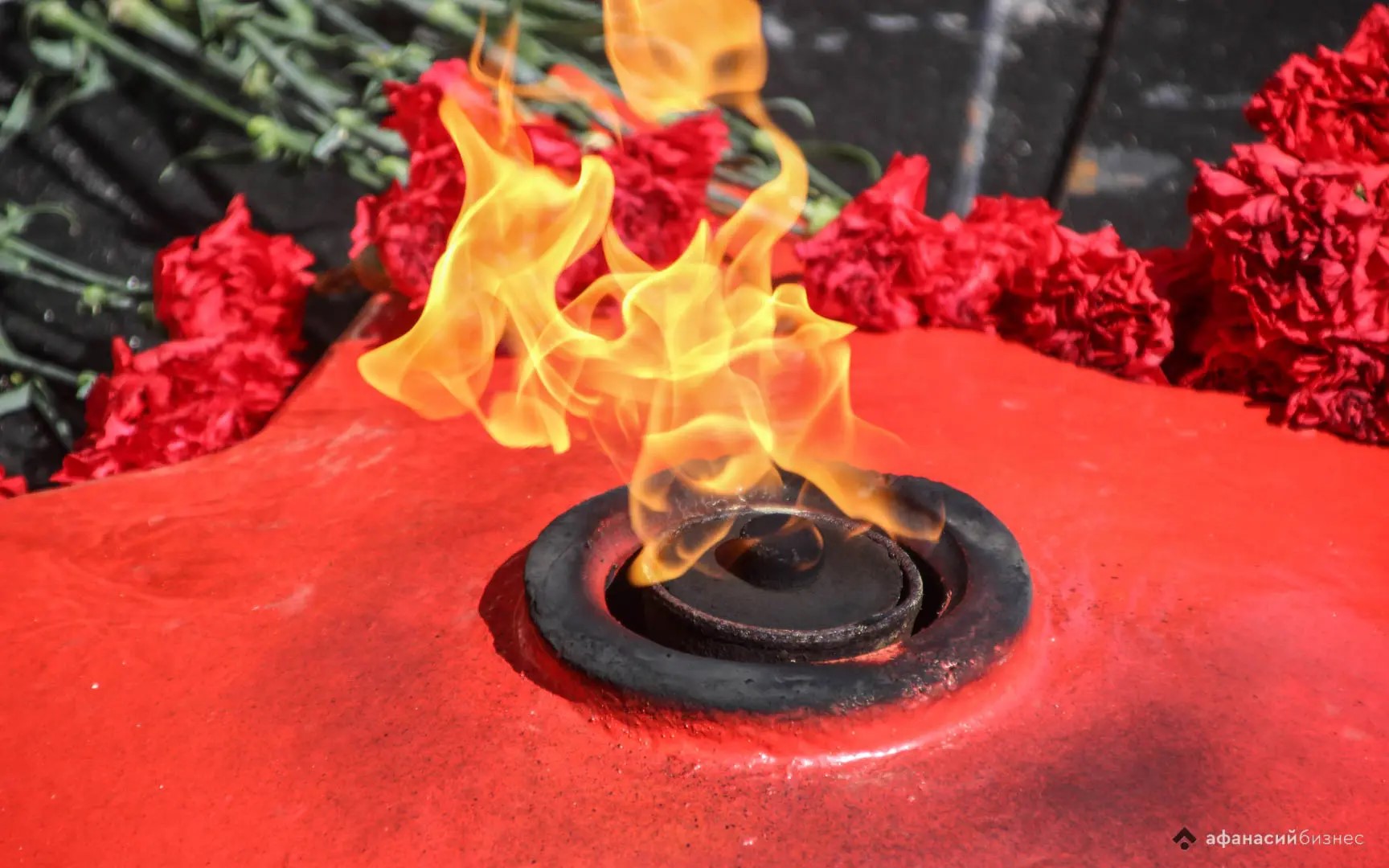 Жителей Твери приглашают принять участие в акции «Краски Победы — в подарок Герою» 