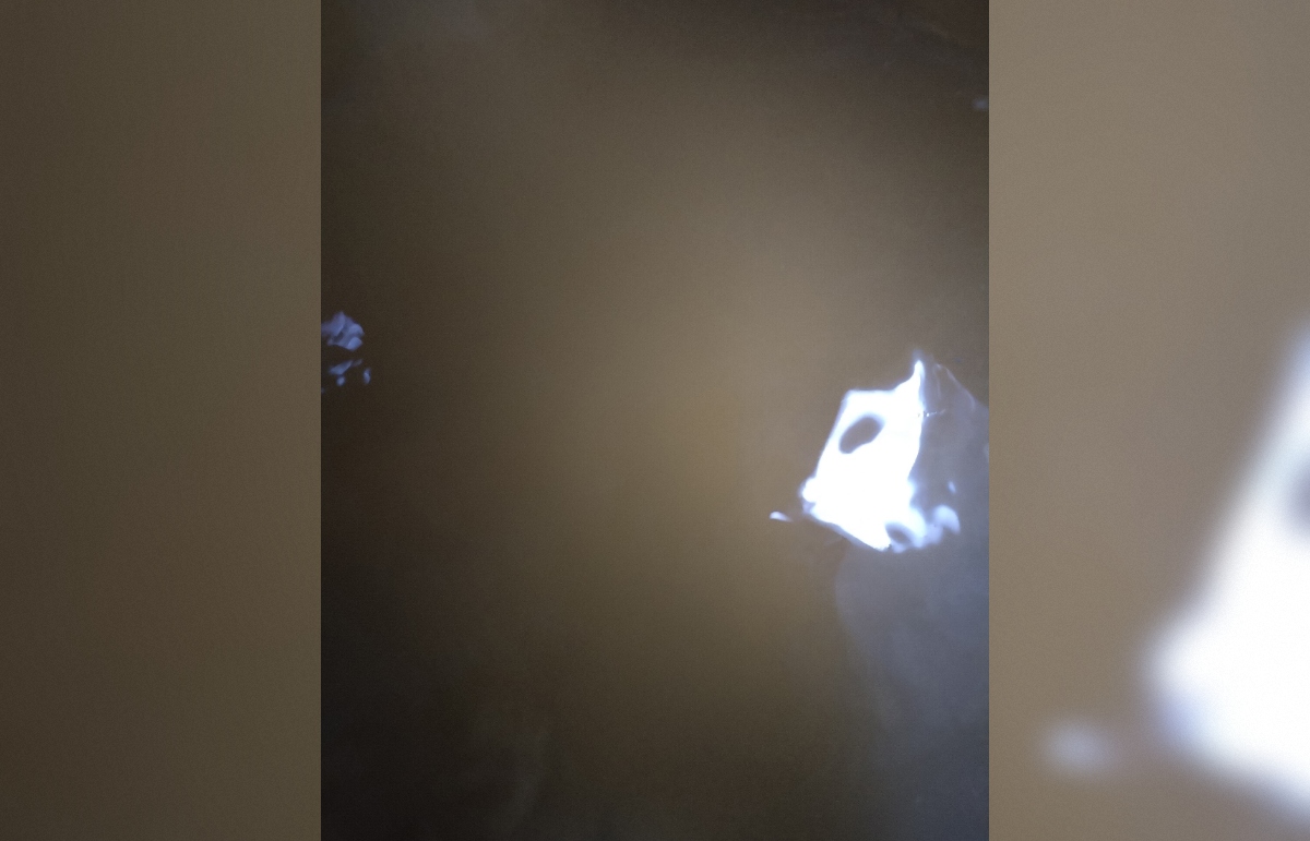 Жители Кашина жалуются на грязную воду из крана Фото, видео: соцмедиа