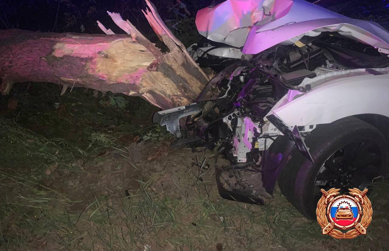 Ехали со свадьбы, встретили дерево: детали ночного ДТП в Твери рассказали в ГАИ - новости Афанасий