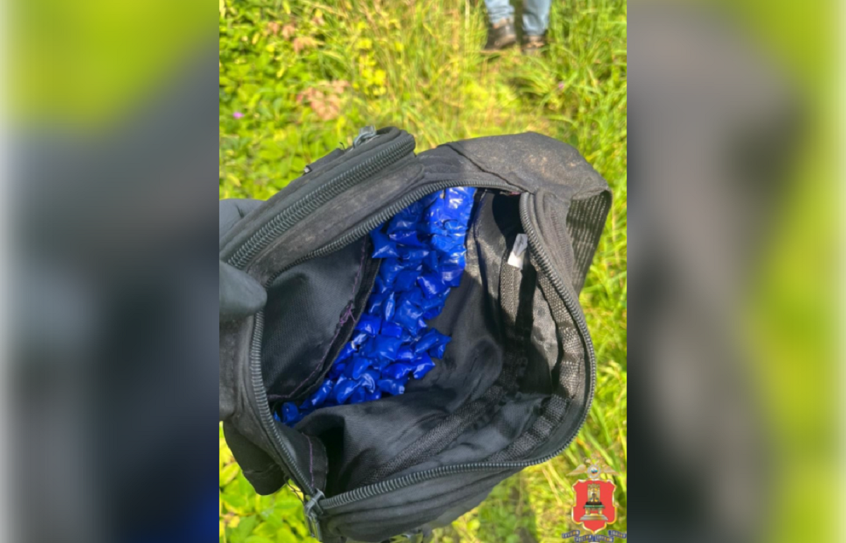 В Твери задержан наркокурьер, который планировал сделать 100 закладок с метадоном - новости Афанасий