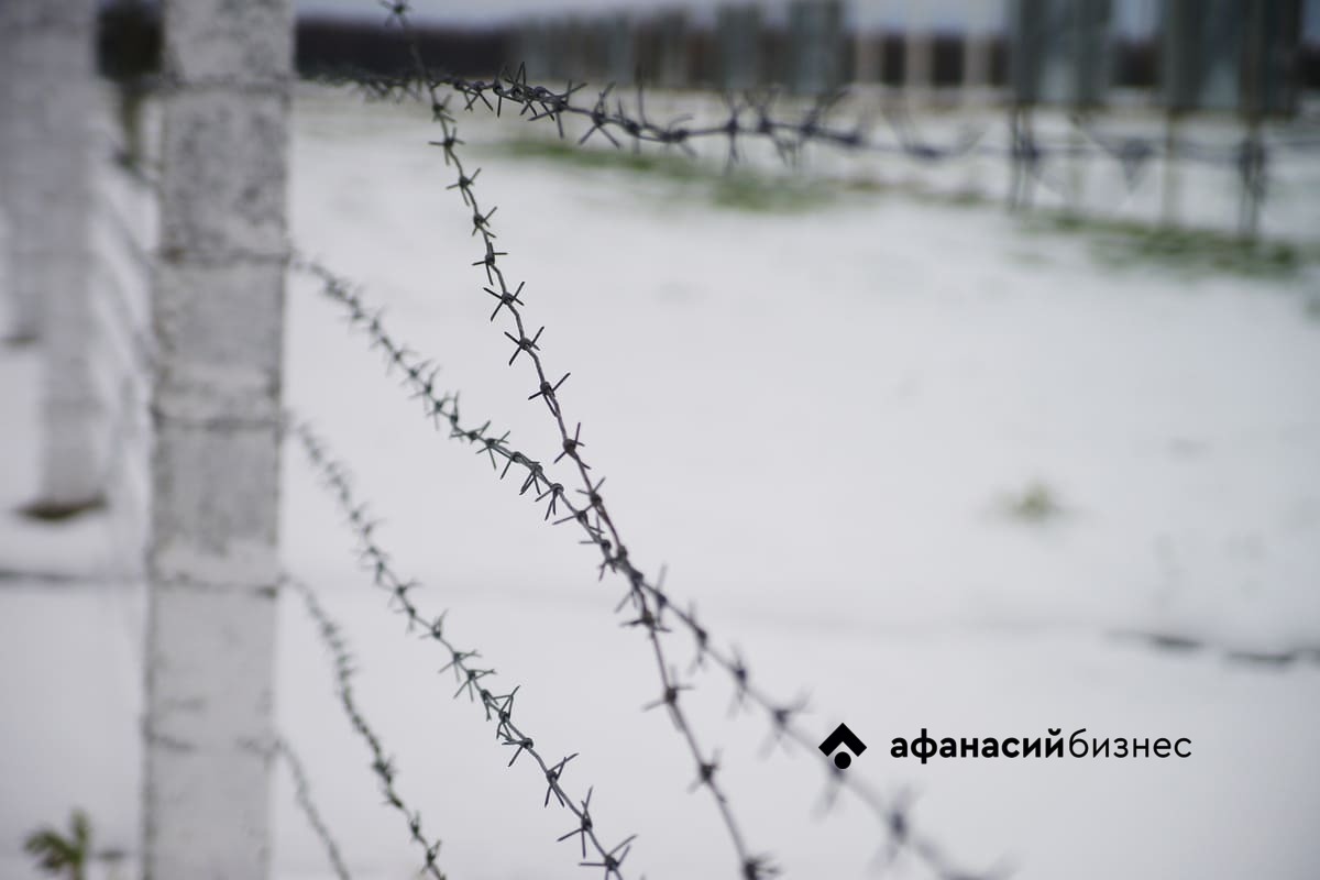 Четыре года колонии получил тверитянин, порезавший ножом ребенка во дворе Фото: архив редакции