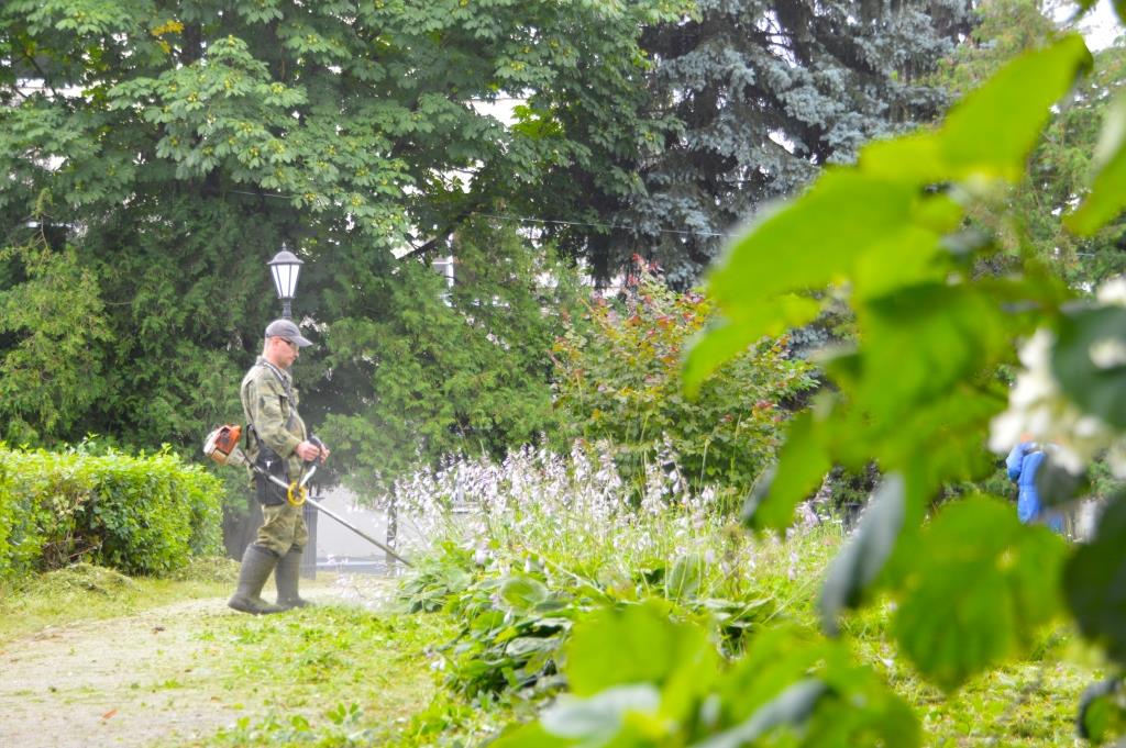 В Твери отчитались о покосе травы в зеленых зонах 