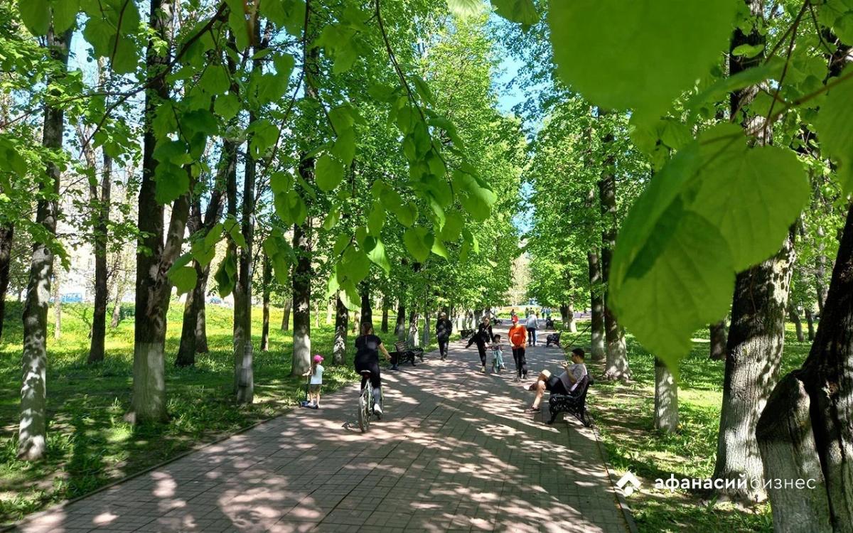 Сегодня в Твери все еще жарко Фото: архив редакции