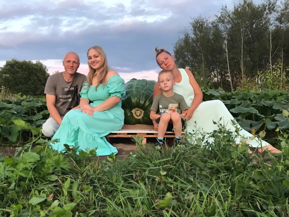 Гигантские тыквы и кабачки из Твери участвуют в международном «ТыквыБатл 2024» Все фото размещаются с разрешения семьи Волковых