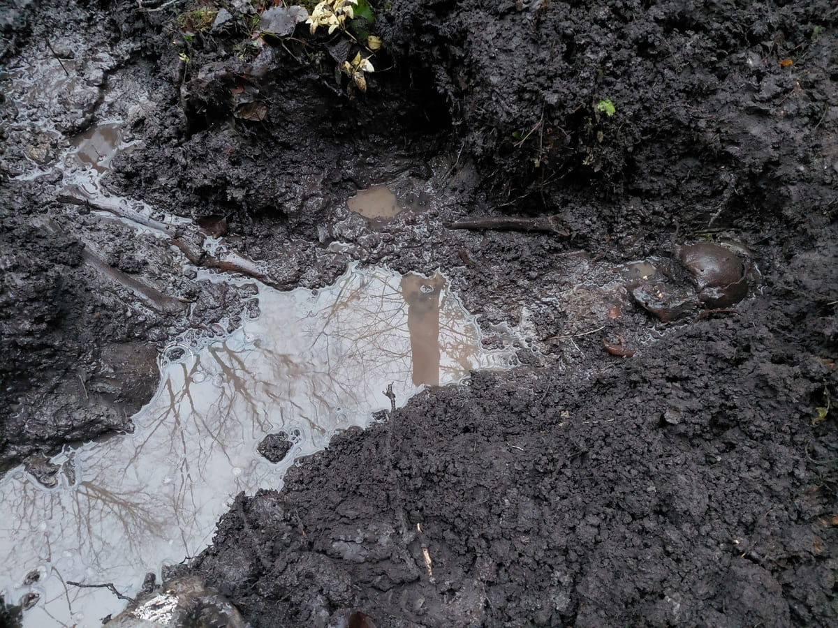 В Западнодвинском округе нашли останки солдата, погибшего в годы ВОВ Фото: Виктор Кочергин / НИ ВПЦ Подвиг