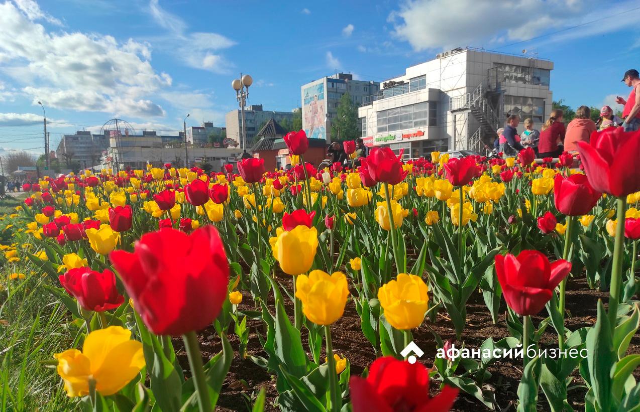 Прогноз погоды в Твери: май возвращается и ведет к нам лето