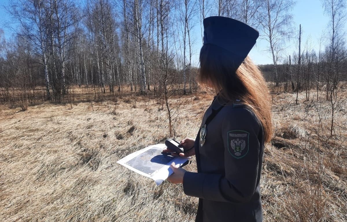 Собственник трех заросших участков земли получил предостережения Фото: Россельхознадзор