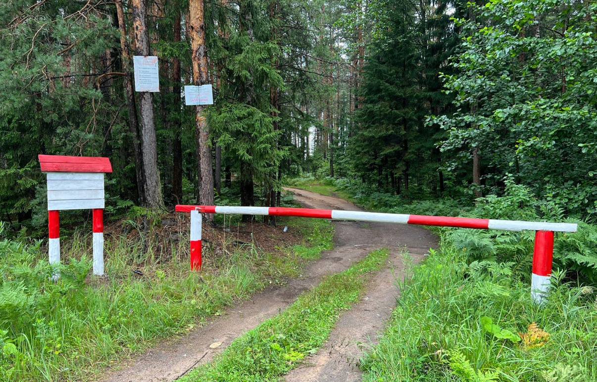 В Тверской области выполнен годовой план по противопожарному обустройству лесов Фото: правительство Тверской области