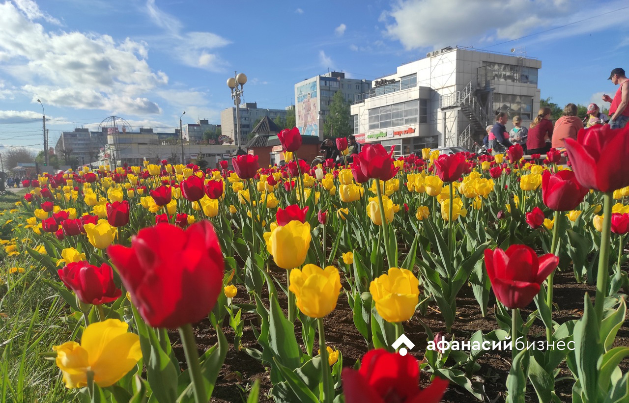 Прогноз погоды в Твери обещает июльские температуры и грозы Фото: Afanasy.biz