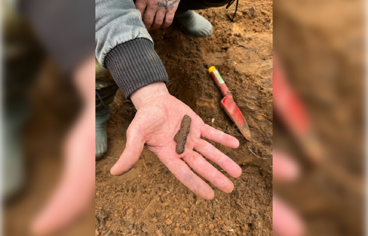 Под Тверью нашли неучтенные санитарные захоронения Фото: п/о «Разведчик» (г. Тверь)