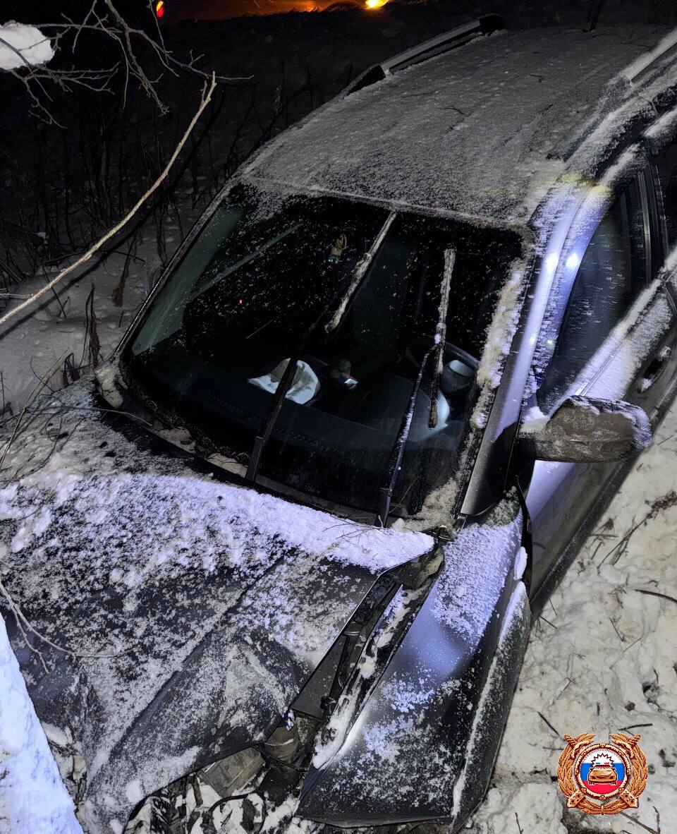 Под Рамешками в Тверской области вылетел с дороги автомобиль Фото: ГАИ