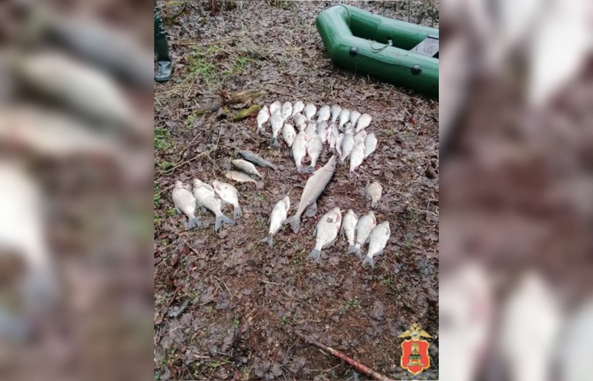 В Весьегонске задержан браконьер с сетью Фото, видео: УМВД по Тверской области