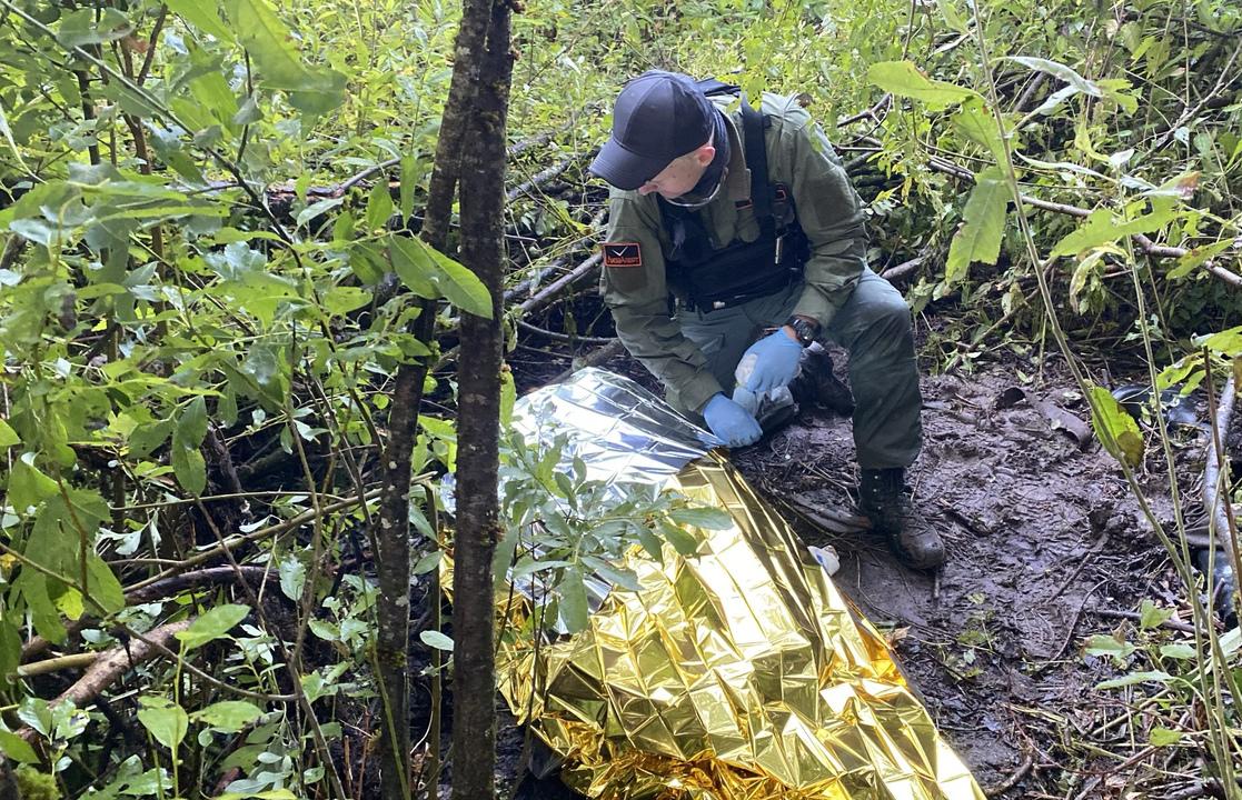 В Тверской области через семь суток в лесу нашли живым 68-летнего мужчину Фото: 
https://vk.ru/lizaalerttver 