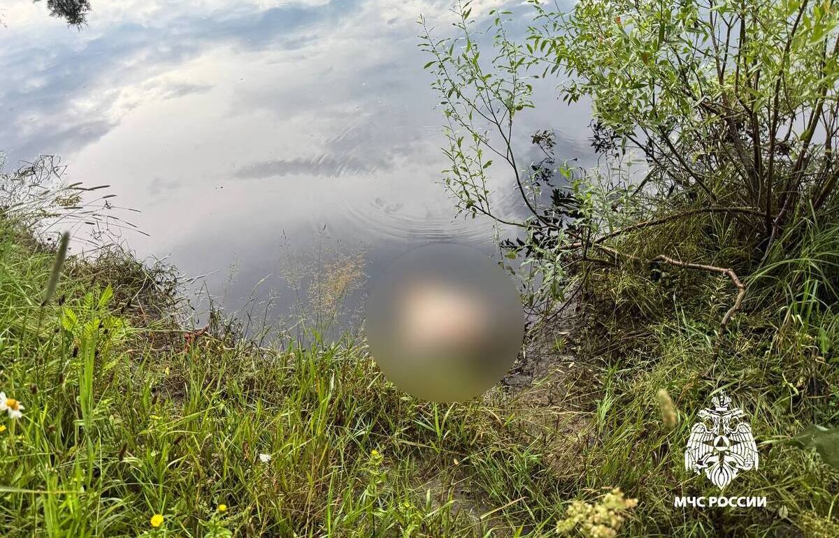 Под Тверью в Орше утонул подросток - новости Афанасий