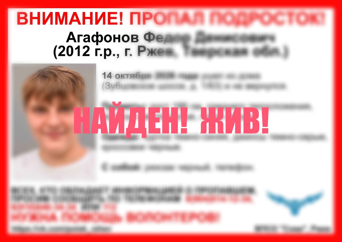 В Тверской области нашли пропавшего подростка Фото: ВПСО "Сова"