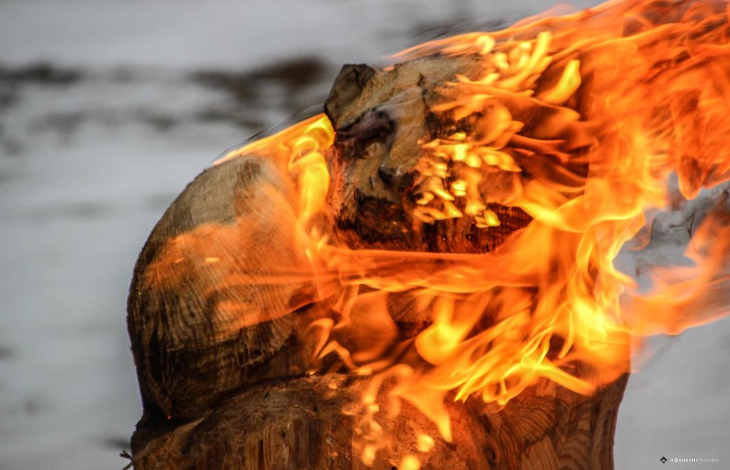Вторая жизнь бревна: в Кимрском районе Тверской области соревновались лучшие резчики по дереву 
