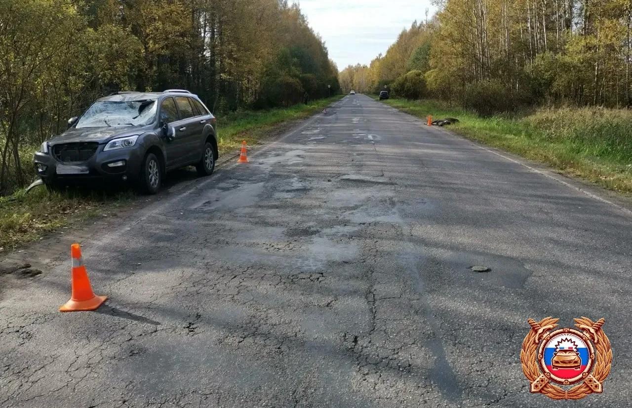 В ДТП с лосем в Тверской области пострадала женщина - новости Афанасий