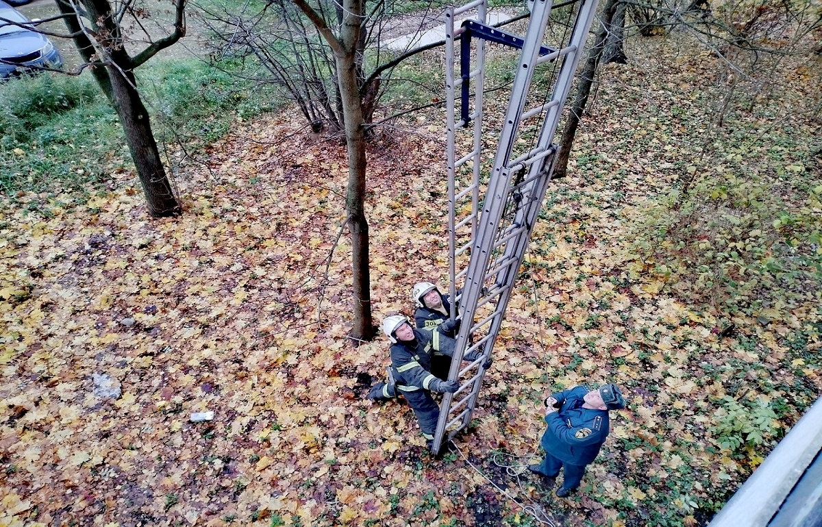 В Твери спасатели помогли одинокой пенсионерке, сломавшей ногу - новости Афанасий