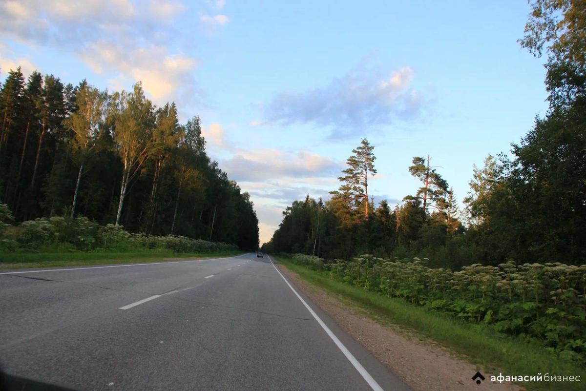 В селе Тверской области сын до смерти забил отца и выбросил труп на обочину Фото: архив редакции