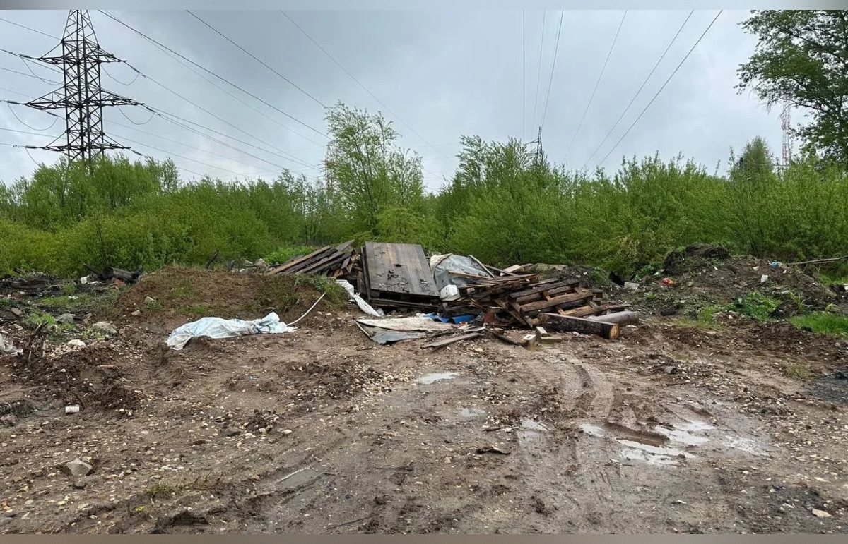 В Рамешковском районе виновный возместил ущерб, причиненный незаконной свалкой Фото: Минприроды Тверской области