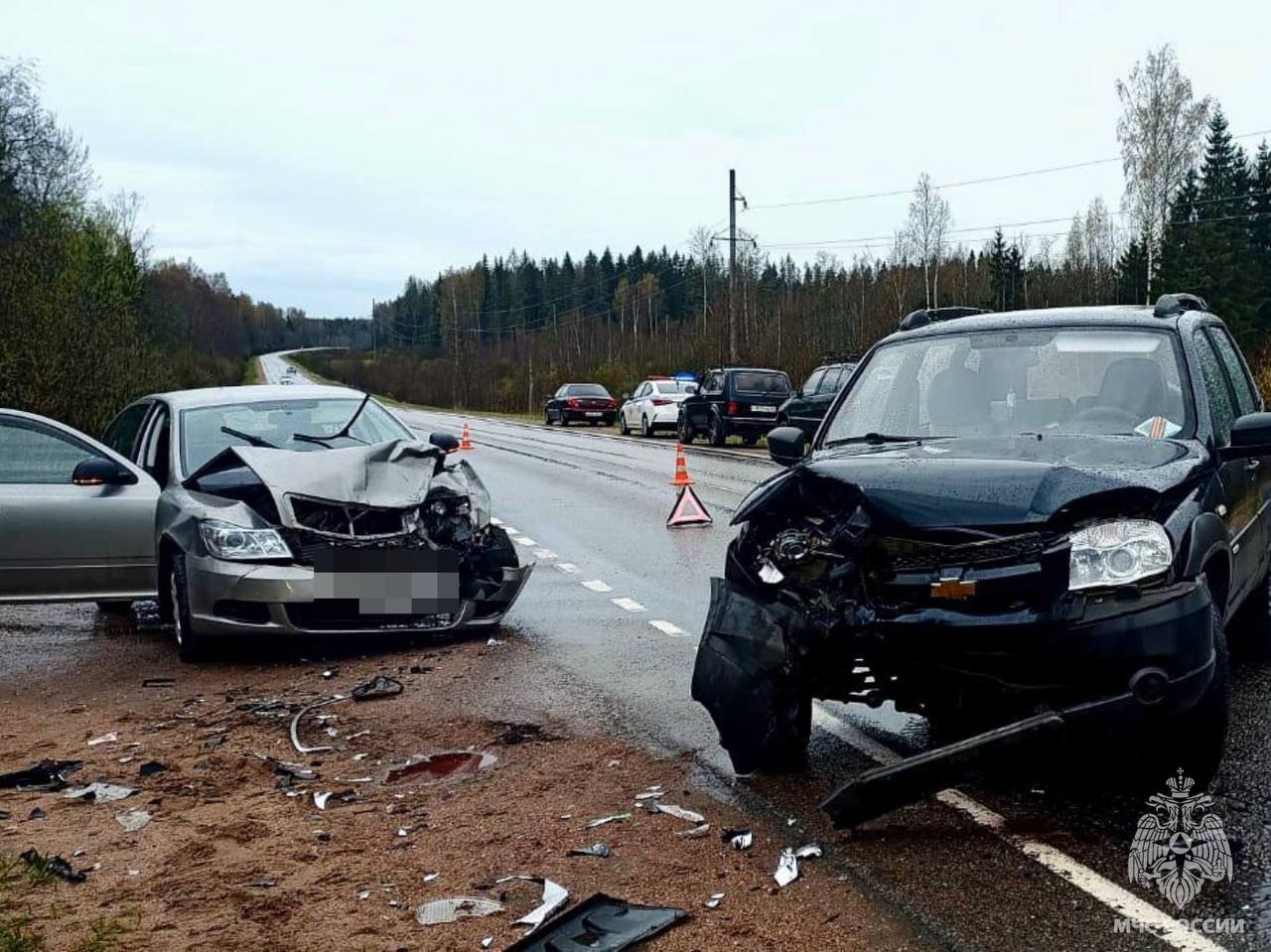 В Тверской области двух человек увезли в больницу после массового ДТП - новости Афанасий