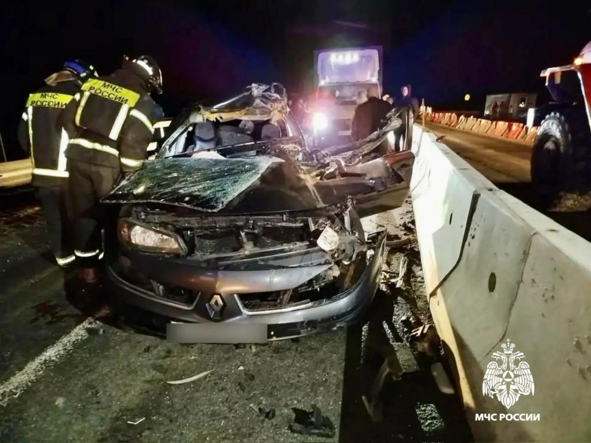 На М10 в Вышневолоцком округе произошло ДТП с пострадавшим Фото: МЧС