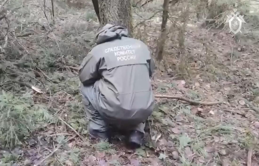 СК РФ подтверждает, что пропавшая 13-летняя девочка была убита - новости Афанасий