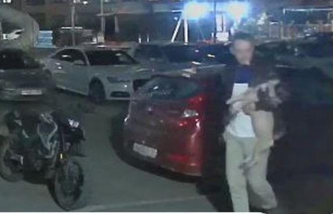 В Твери пьяный хозяин выбросил собаку с 13 этажа и отнес на мусорку Фото, видео: News 69