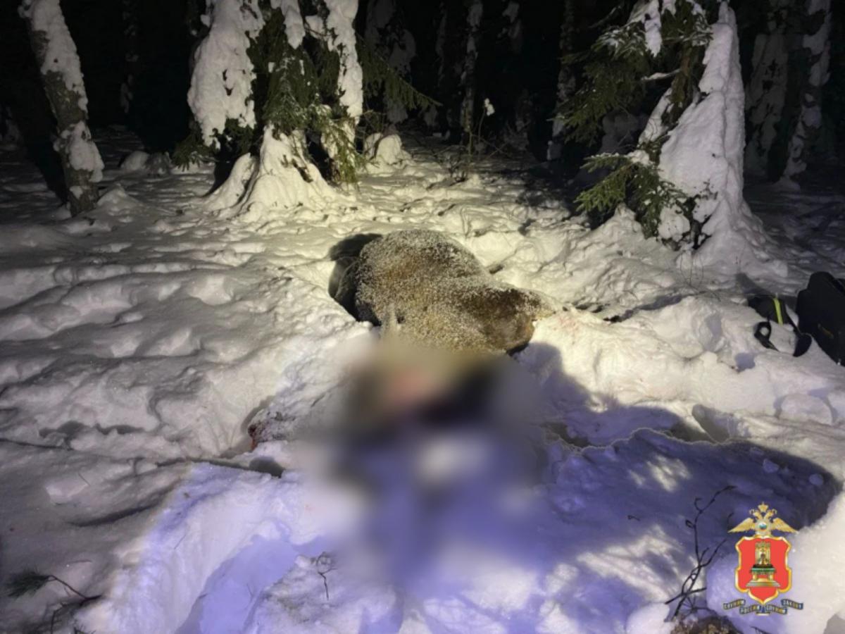 Под Старицей задержан 60-летний браконьер из Твери Фото: УМВД Тверской области