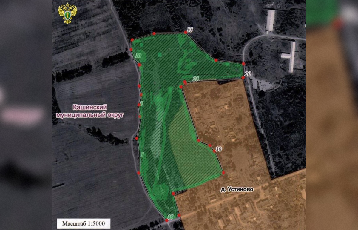 В Тверской области утвердили границы памятника природы площадью 9,2 га Фото: Природоохранная прокуратура