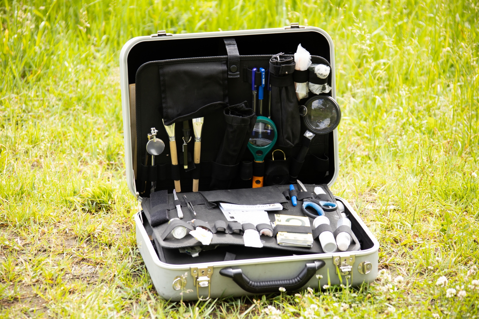 Житель Твери нанял рабочих и три месяца рубил чужой лес под Калязином - новости Афанасий