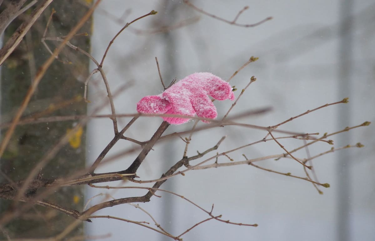 Ночью в Тверской области холоднее всего было в Максатихе, а теплее — в Бологом Фото: архив редакции