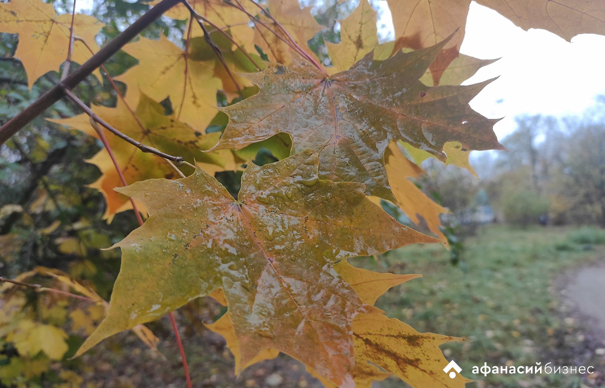 В Твери сегодня пасмурно и временами небольшой дождь Фото: архив редакции