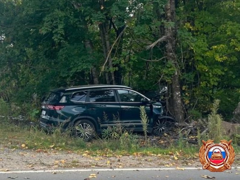 Под Торжком два человека пострадали при столкновении автомобиля с деревом - новости Афанасий