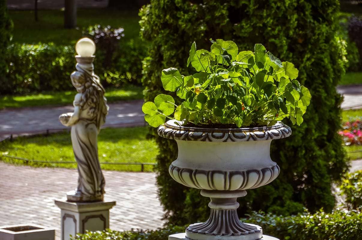 В скверах Твери появляются новые клумбы