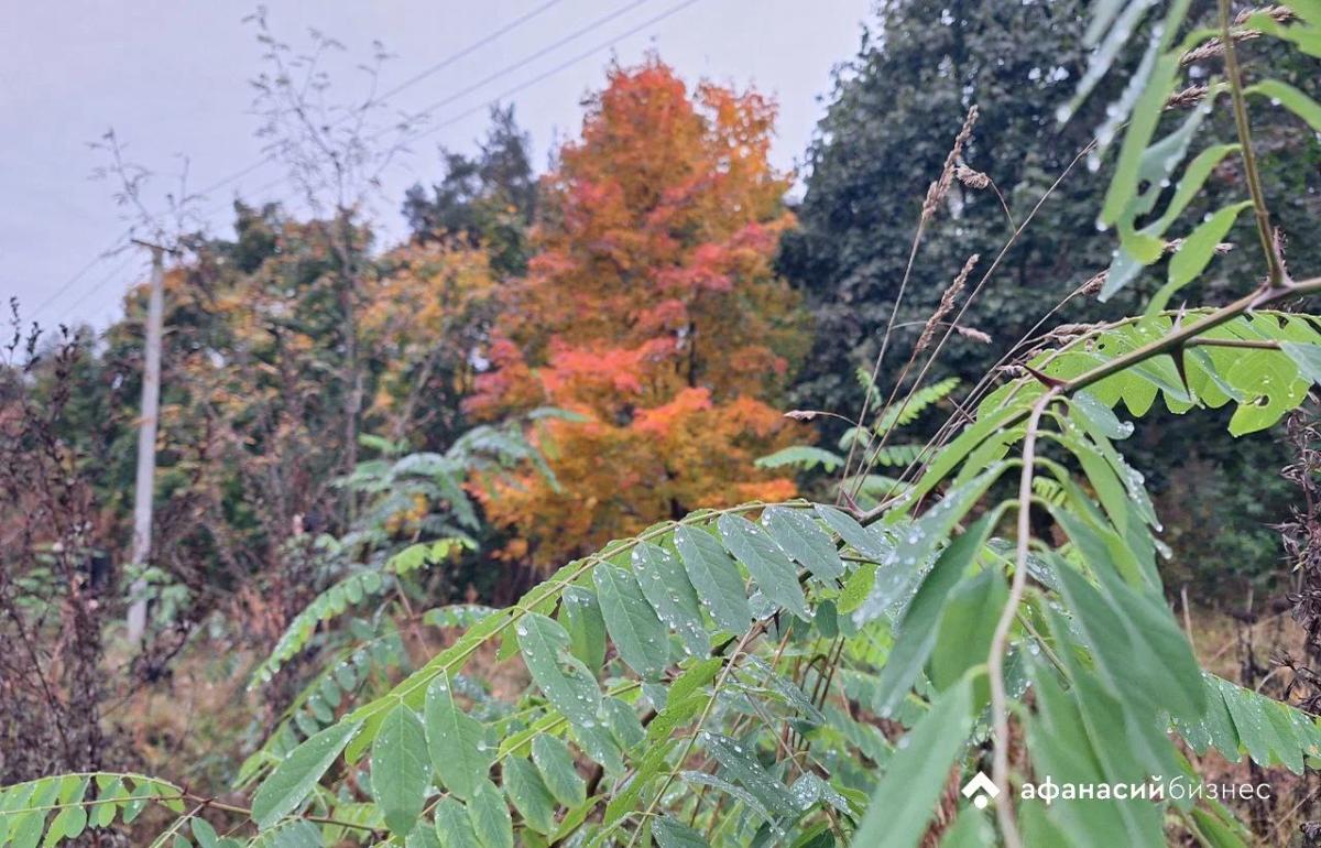 К концу недели в Твери потеплеет до +10 градусов
