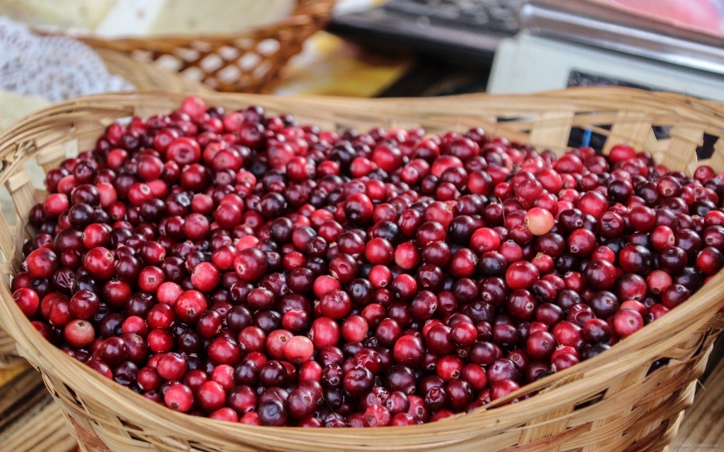 Прогноз погоды в Твери: до мощного обвала полярного холода и дождей всего неделя  Фото: архив Afanasy.biz