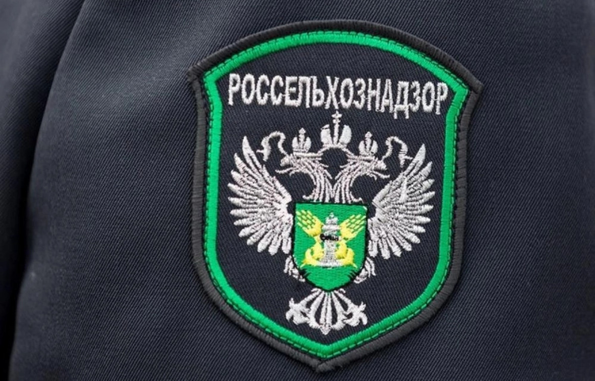Инспекторы проверили грузы из Китая, Гонконга и Сербии