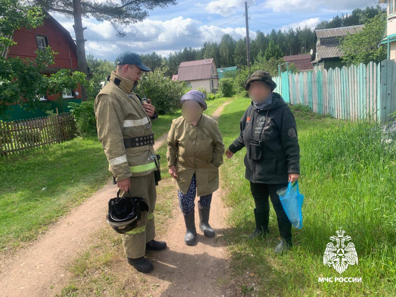 В Тверской области из леса вывели заблудившуюся пенсионерку
