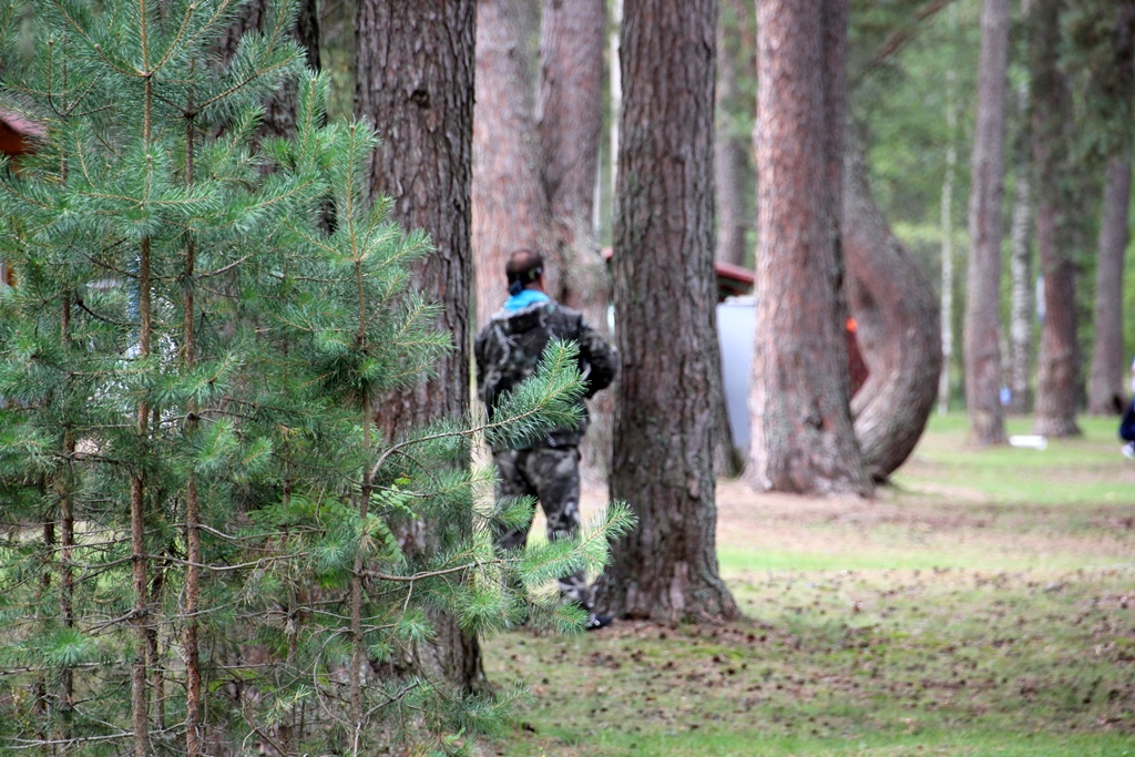 Тверские ученые могут принять участие в конкурсе "Дикий кадр" 
