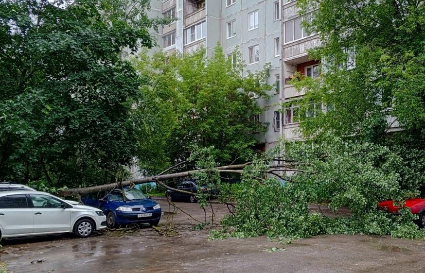 В Твери на 23% превышена месячная норма осадков