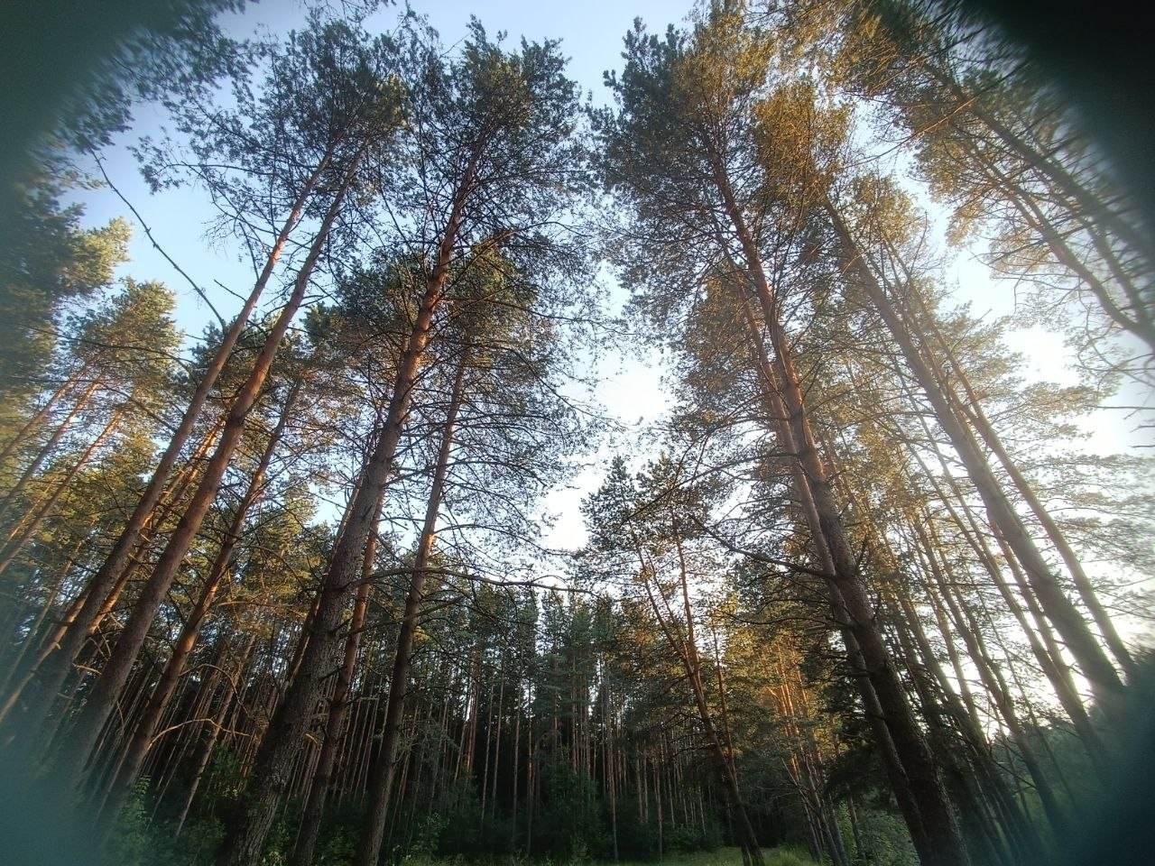 В Твери сегодня тепло и солнечно 